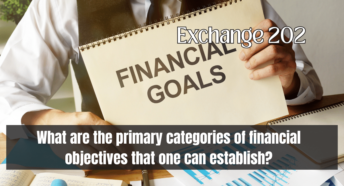 What are the primary categories of financial objectives that one can establish