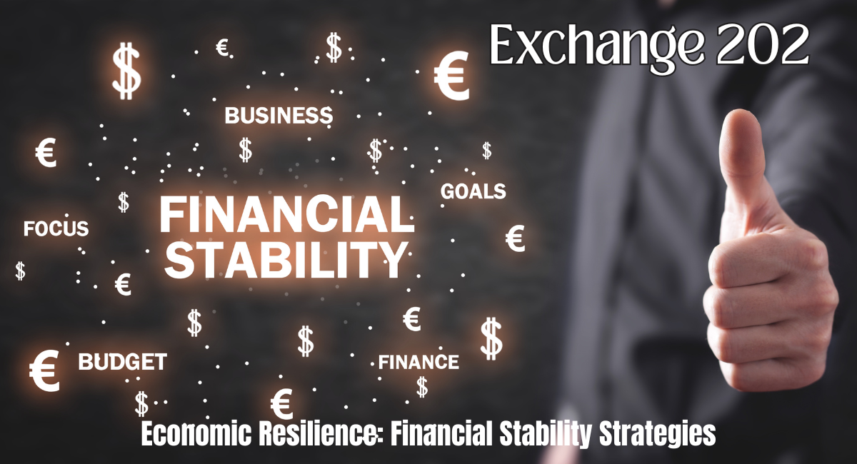 Economic Resilience Financial Stability Strategies