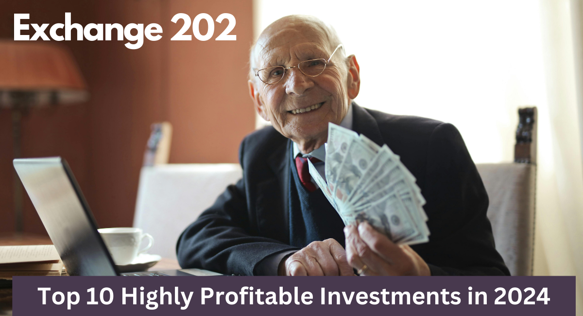 Top 10 Highly Profitable Investments in 2024